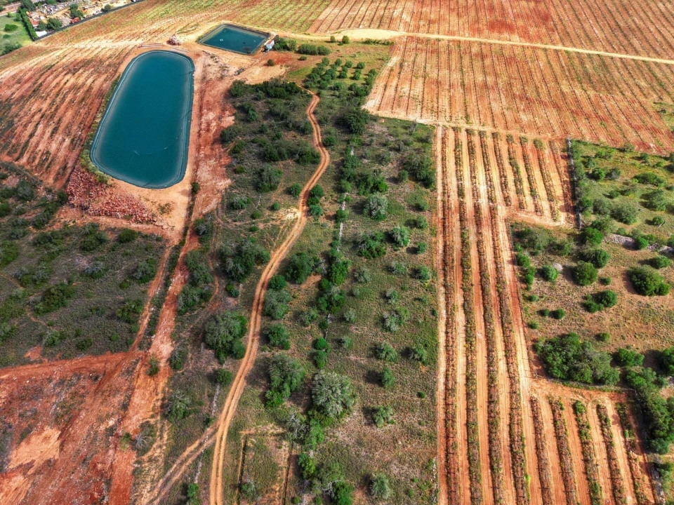 Terreno para Venda em Silves Foto 3