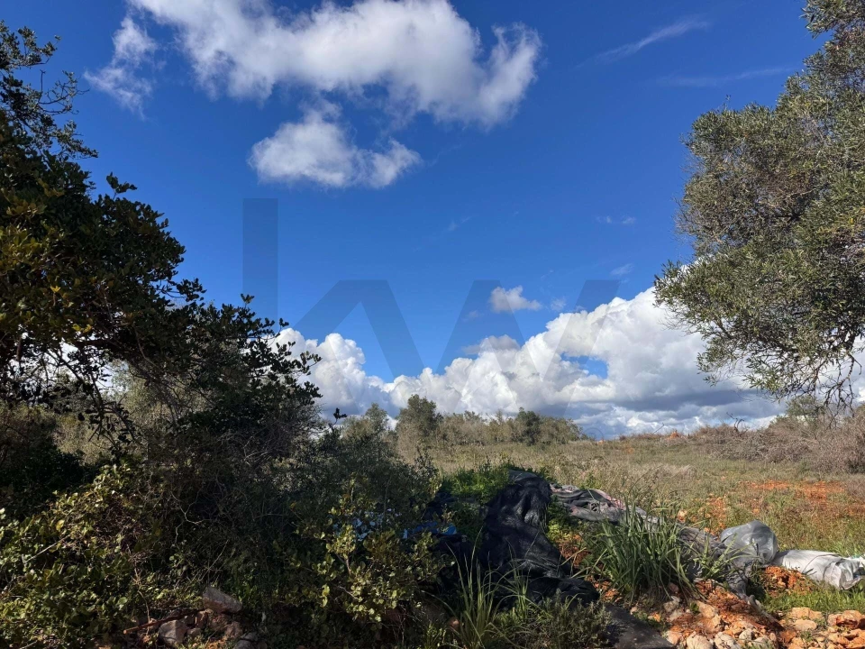 Terreno para Venda em São Bartolomeu de Messines Foto 2
