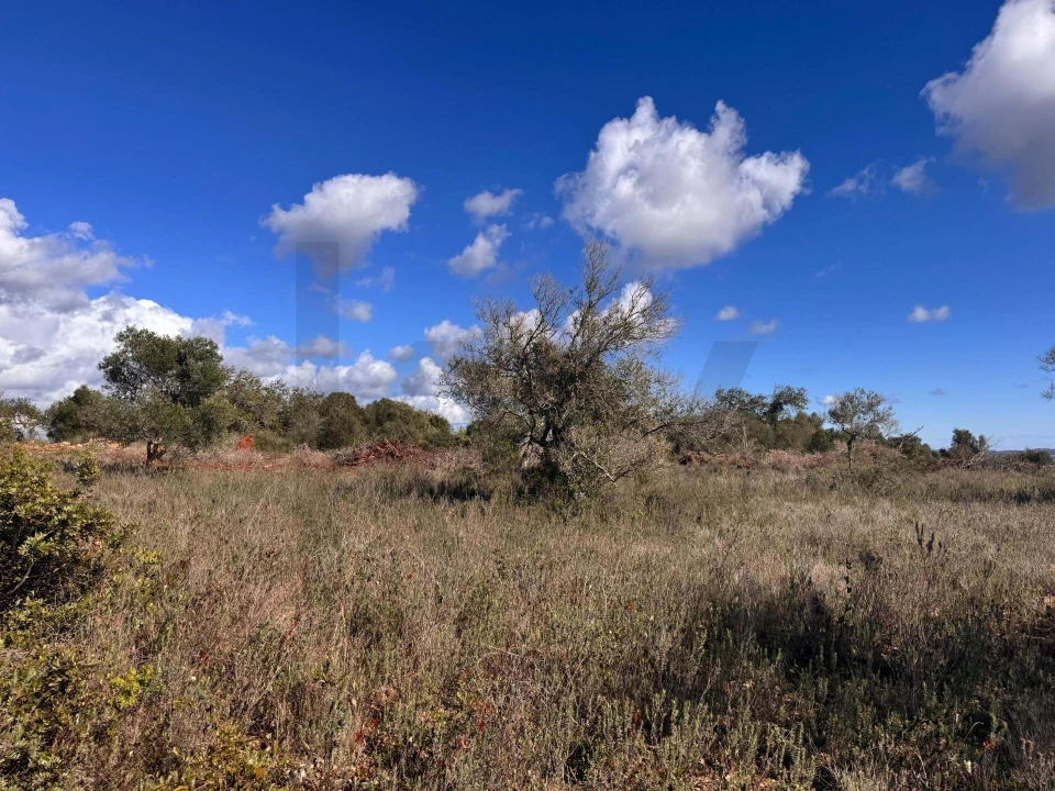 Terreno para Venda em São Bartolomeu de Messines Foto 5