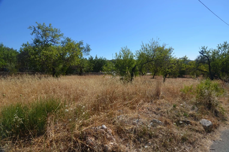 Terreno para Venda em Paderne Foto 4