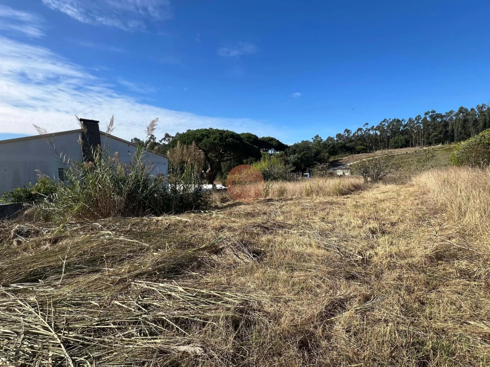 Terreno para Venda em Caldas da Rainha - Santo Onofre e Serra do Bouro Foto 3