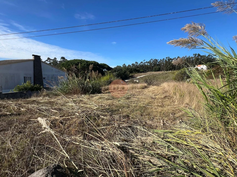 Terreno para Venda em Caldas da Rainha - Santo Onofre e Serra do Bouro Foto 9