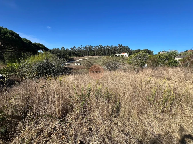 Terreno para Venda em Caldas da Rainha - Santo Onofre e Serra do Bouro Foto 7