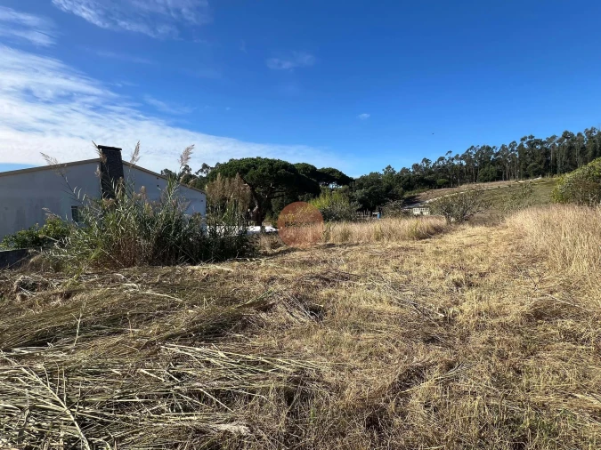 Terreno para Venda em Caldas da Rainha - Santo Onofre e Serra do Bouro Foto 3