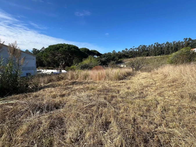 Terreno para Venda em Caldas da Rainha - Santo Onofre e Serra do Bouro Foto 8