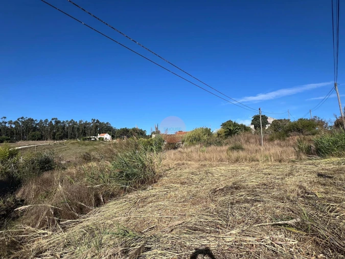 Terreno para Venda em Caldas da Rainha - Santo Onofre e Serra do Bouro Foto 6