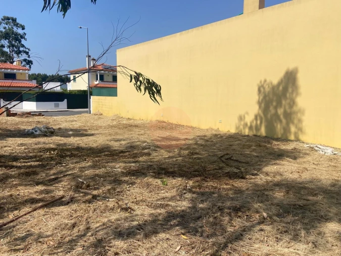 Terreno para Venda em Santa Maria, São Pedro e Sobral da Lagoa Foto 18