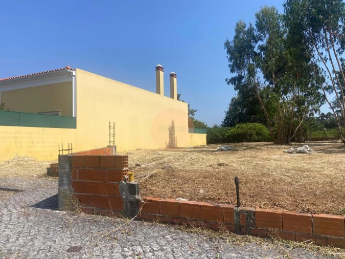 Terreno para Venda em Santa Maria, São Pedro e Sobral da Lagoa Foto 7