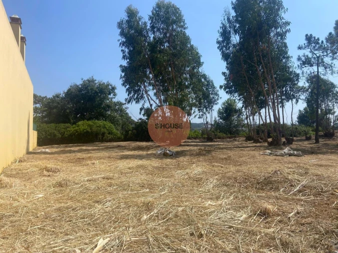 Terreno para Venda em Santa Maria, São Pedro e Sobral da Lagoa Foto 3