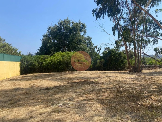 Terreno para Venda em Santa Maria, São Pedro e Sobral da Lagoa Foto 19