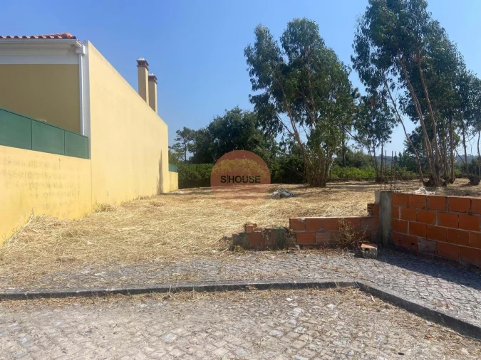 Terreno para Venda em Santa Maria, São Pedro e Sobral da Lagoa Foto 6