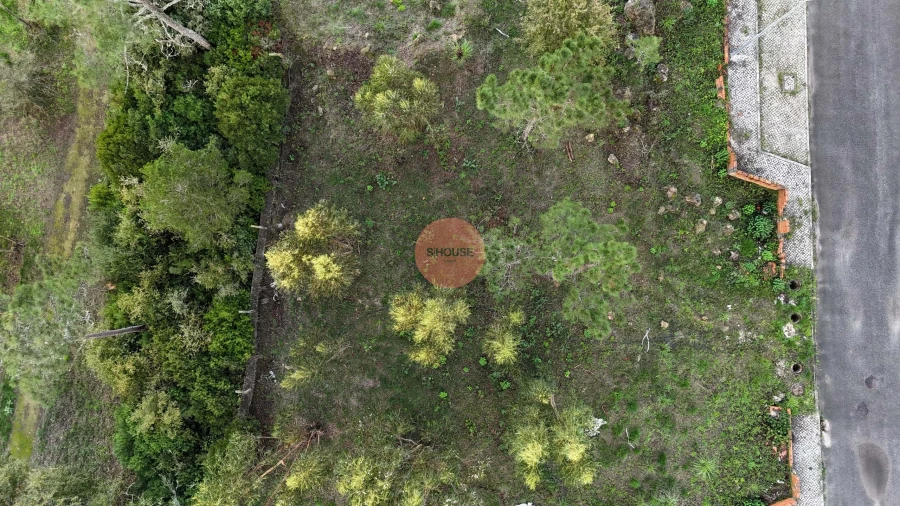 Terreno para Venda em Santa Maria, São Pedro e Sobral da Lagoa Foto 24