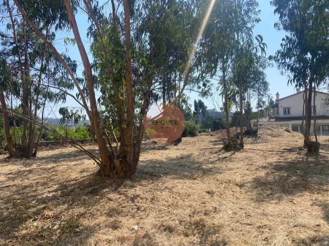 Terreno para Venda em Santa Maria, São Pedro e Sobral da Lagoa Foto 20