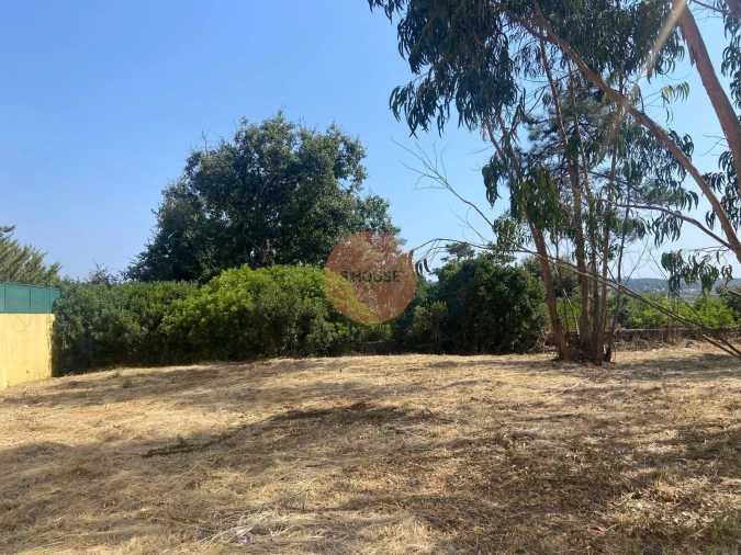 Terreno para Venda em Santa Maria, São Pedro e Sobral da Lagoa Foto 10
