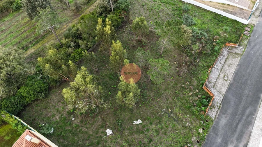 Terreno para Venda em Santa Maria, São Pedro e Sobral da Lagoa Foto 25