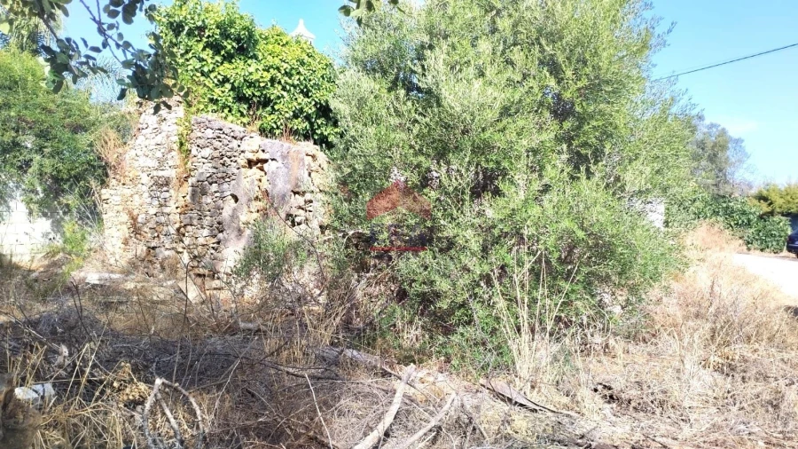 Terreno Misto para Venda em Moncarapacho e Fuseta Foto 8