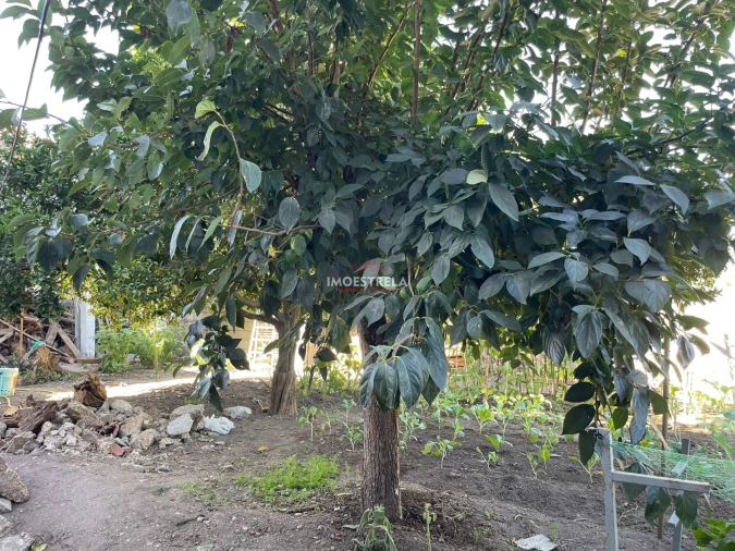 Moradia T4 para Venda em Santa Marinha e São Martinho Foto 5