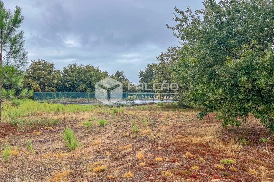 Terreno para Venda em Troporiz e Lapela Foto 37