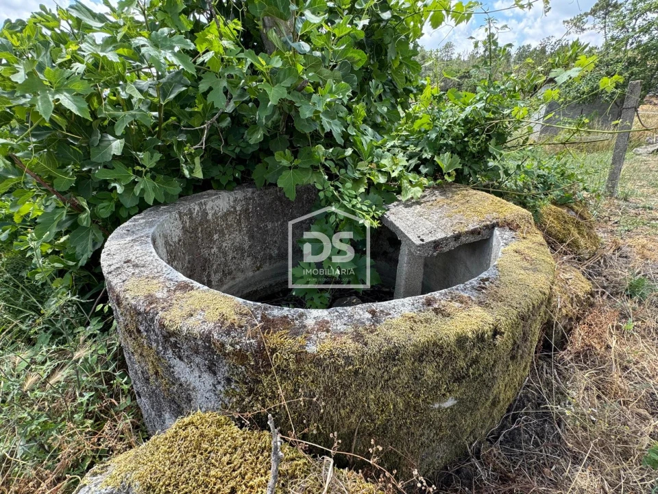 Moradia T0 para Venda em Vila Franca da Serra Foto 8