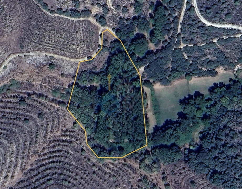 Terreno Agricola ou Rústico para Venda em Agrobom, Saldonha e Vale Pereiro Foto 1