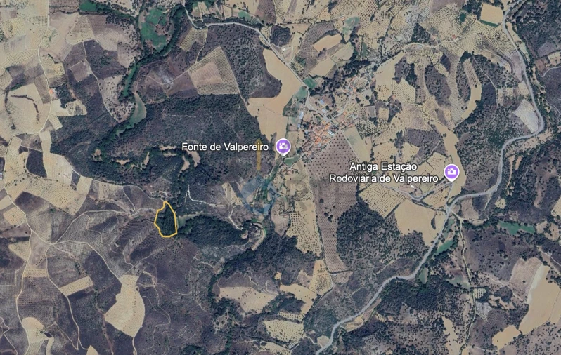 Terreno Agricola ou Rústico para Venda em Agrobom, Saldonha e Vale Pereiro Foto 2