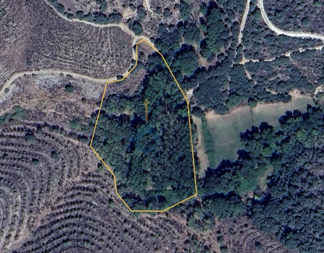 Terreno Agricola ou Rústico para Venda em Agrobom, Saldonha e Vale Pereiro