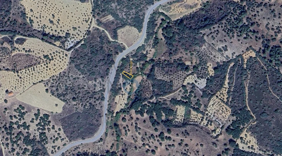 Terreno Agricola ou Rústico para Venda em Agrobom, Saldonha e Vale Pereiro Foto 2