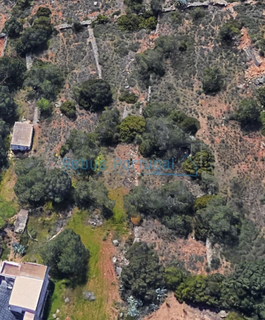 Terreno para Venda em Santa Barbara de Nexe Foto 8