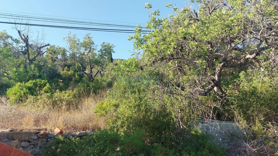 Terreno para Venda em Santa Barbara de Nexe Foto 9