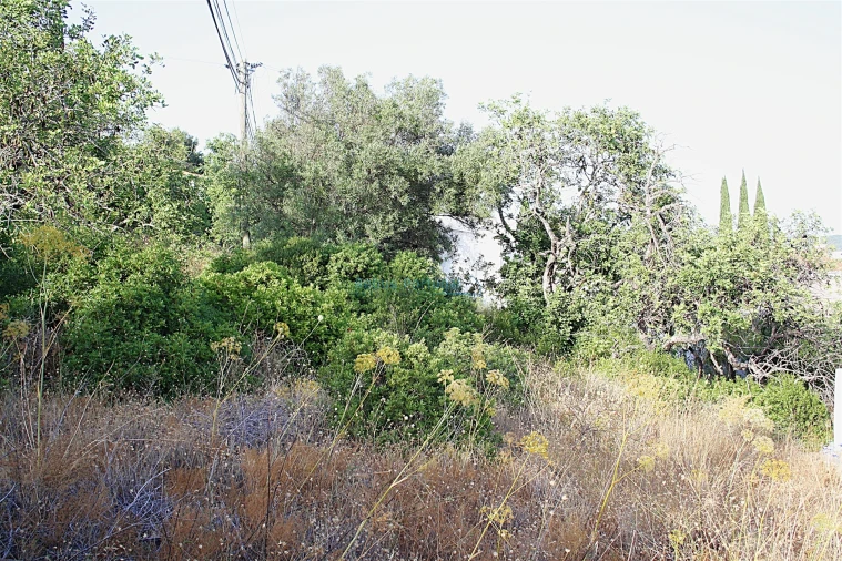 Terreno para Venda em Santa Barbara de Nexe Foto 13