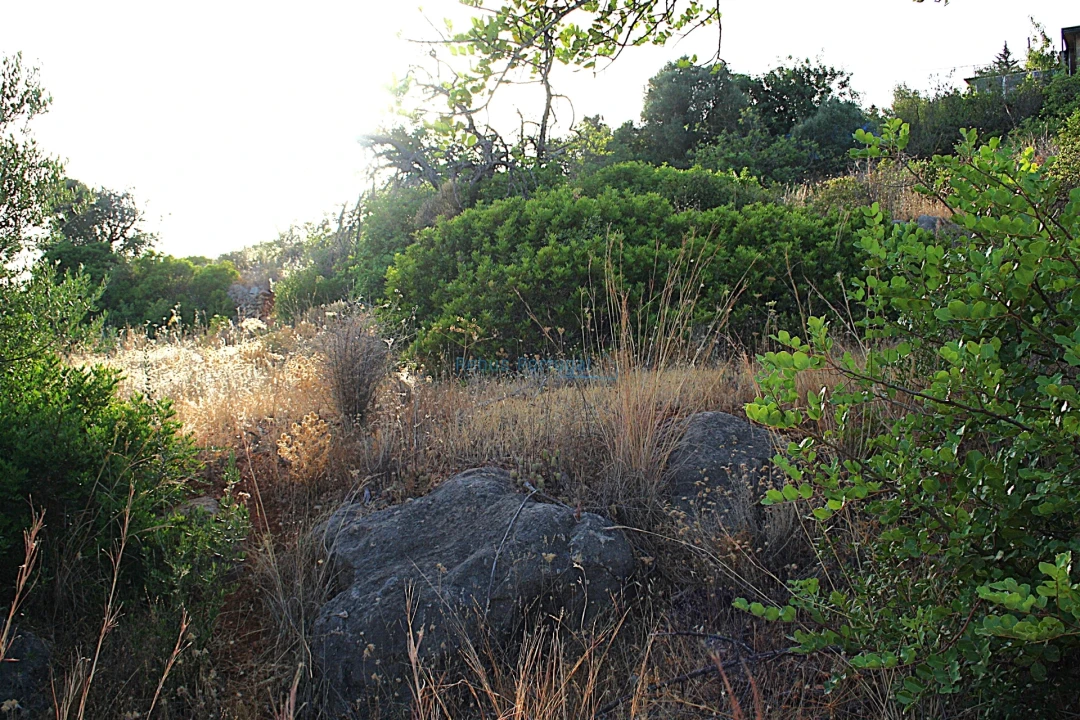 Terreno para Venda em Santa Barbara de Nexe Foto 11