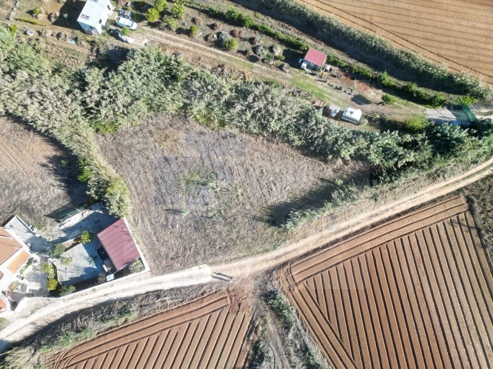 Terreno para Venda em Atouguia da Baleia Foto 2