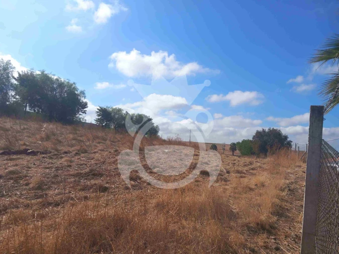 Terreno para Venda em Brinches Foto 8