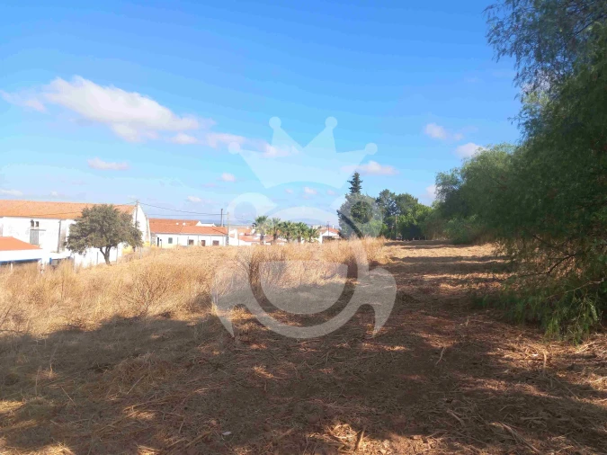 Terreno para Venda em Brinches Foto 4