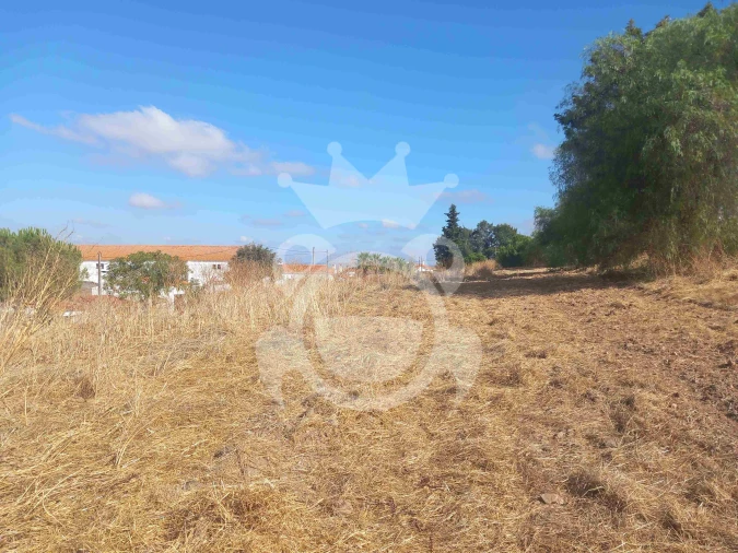 Terreno para Venda em Brinches Foto 2