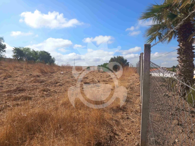 Terreno para Venda em Brinches Foto 7