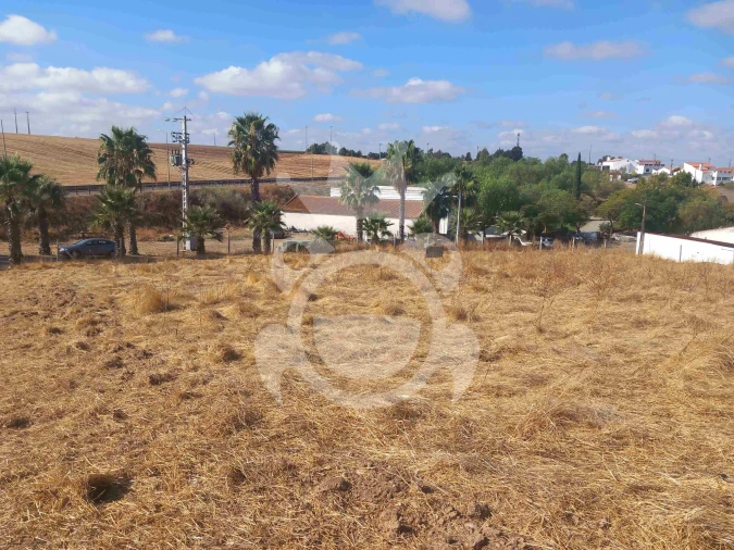 Terreno para Venda em Brinches Foto 10