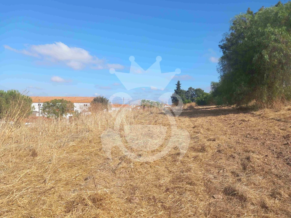 Terreno para Venda em Brinches Foto 2