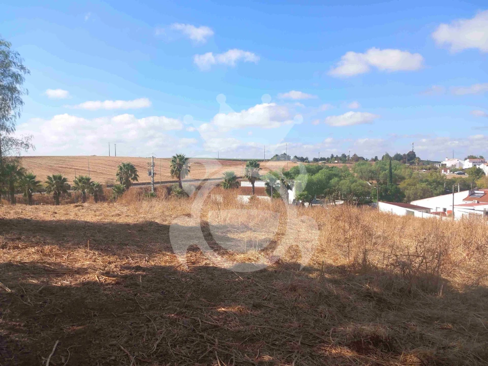 Terreno para Venda em Brinches Foto 5