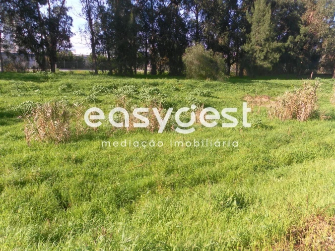 Terreno para Venda em Nossa Sra de Fatima Foto 5