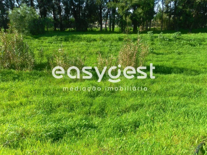 Terreno para Venda em Nossa Sra de Fatima Foto 7