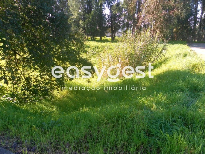 Terreno para Venda em Nossa Sra de Fatima Foto 3