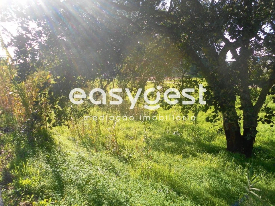 Terreno para Venda em Nossa Sra de Fatima Foto 1