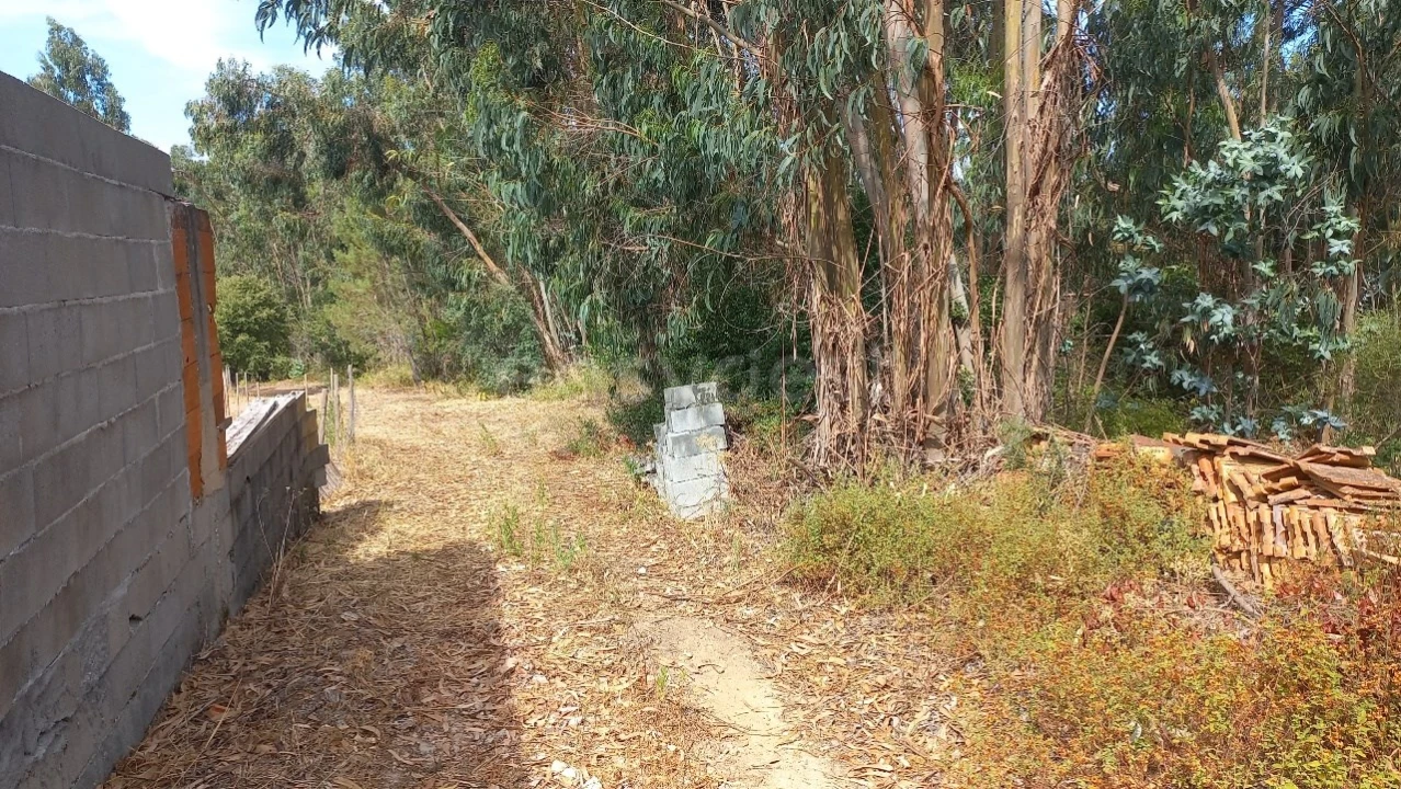 Terreno Agricola ou Rústico para Venda em Malhou, Louriceira e Espinheiro Foto 21