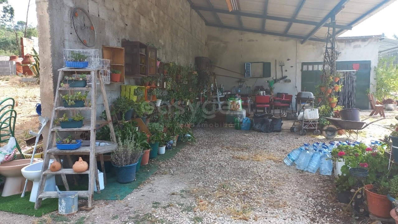 Terreno Agricola ou Rústico para Venda em Malhou, Louriceira e Espinheiro Foto 25