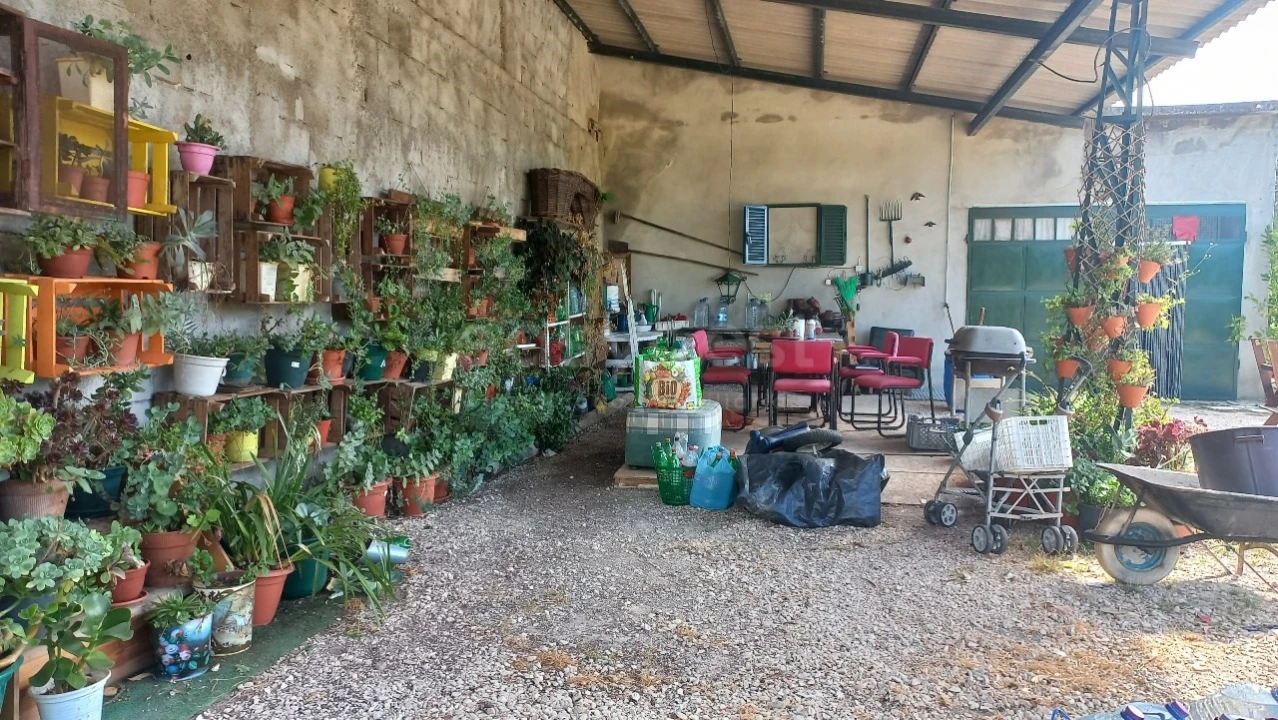 Terreno Agricola ou Rústico para Venda em Malhou, Louriceira e Espinheiro Foto 26