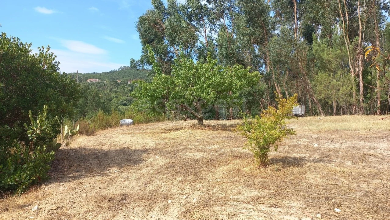Terreno Agricola ou Rústico para Venda em Malhou, Louriceira e Espinheiro Foto 29