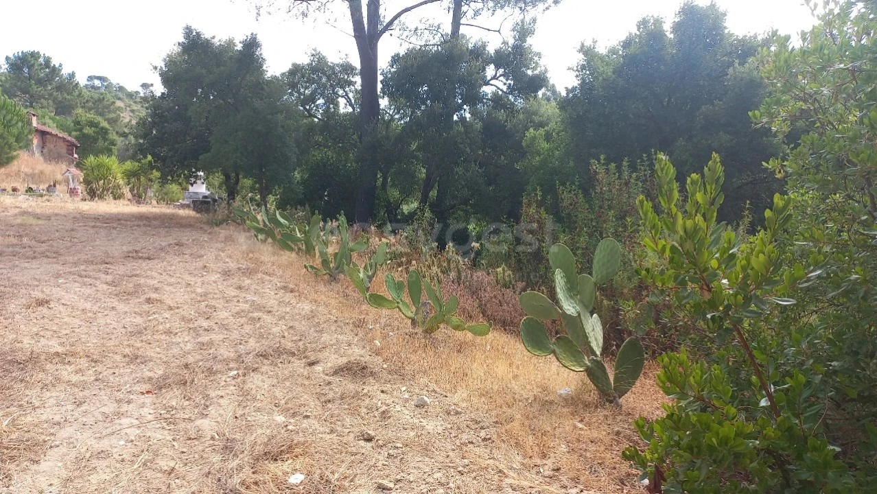 Terreno Agricola ou Rústico para Venda em Malhou, Louriceira e Espinheiro Foto 32