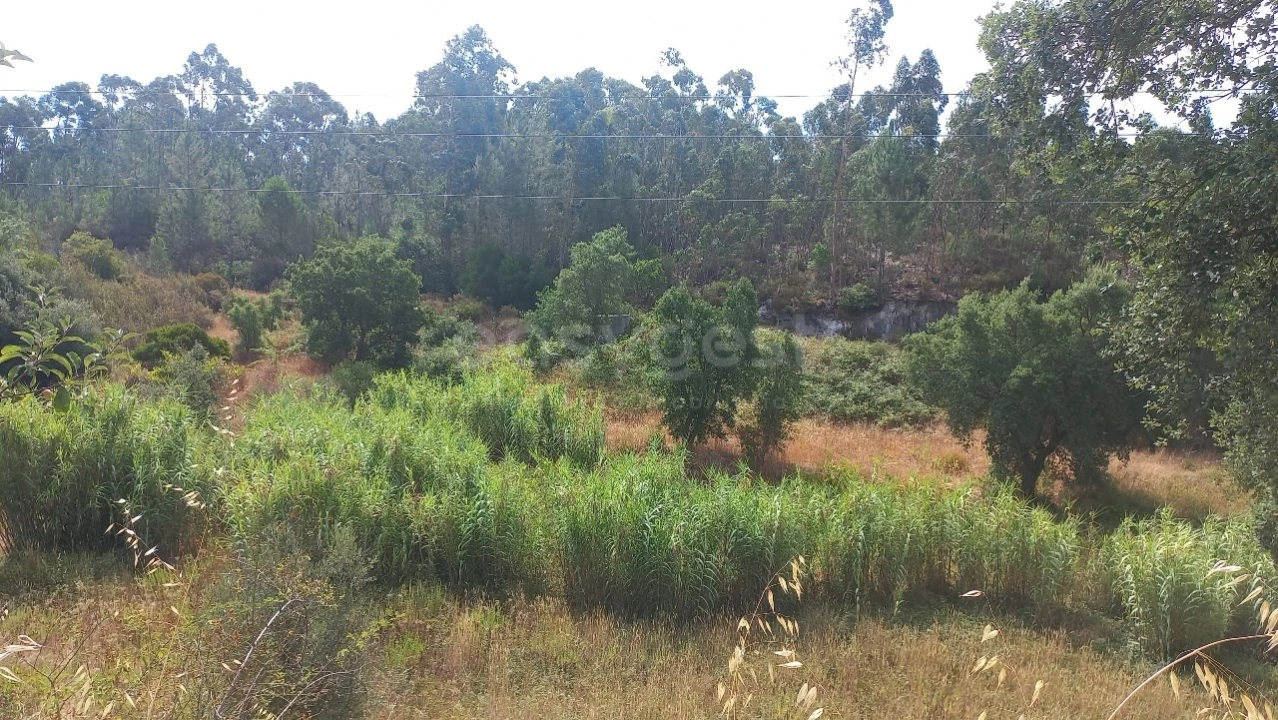 Terreno Agricola ou Rústico para Venda em Malhou, Louriceira e Espinheiro Foto 33