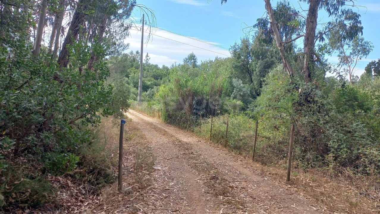 Terreno Agricola ou Rústico para Venda em Malhou, Louriceira e Espinheiro Foto 41